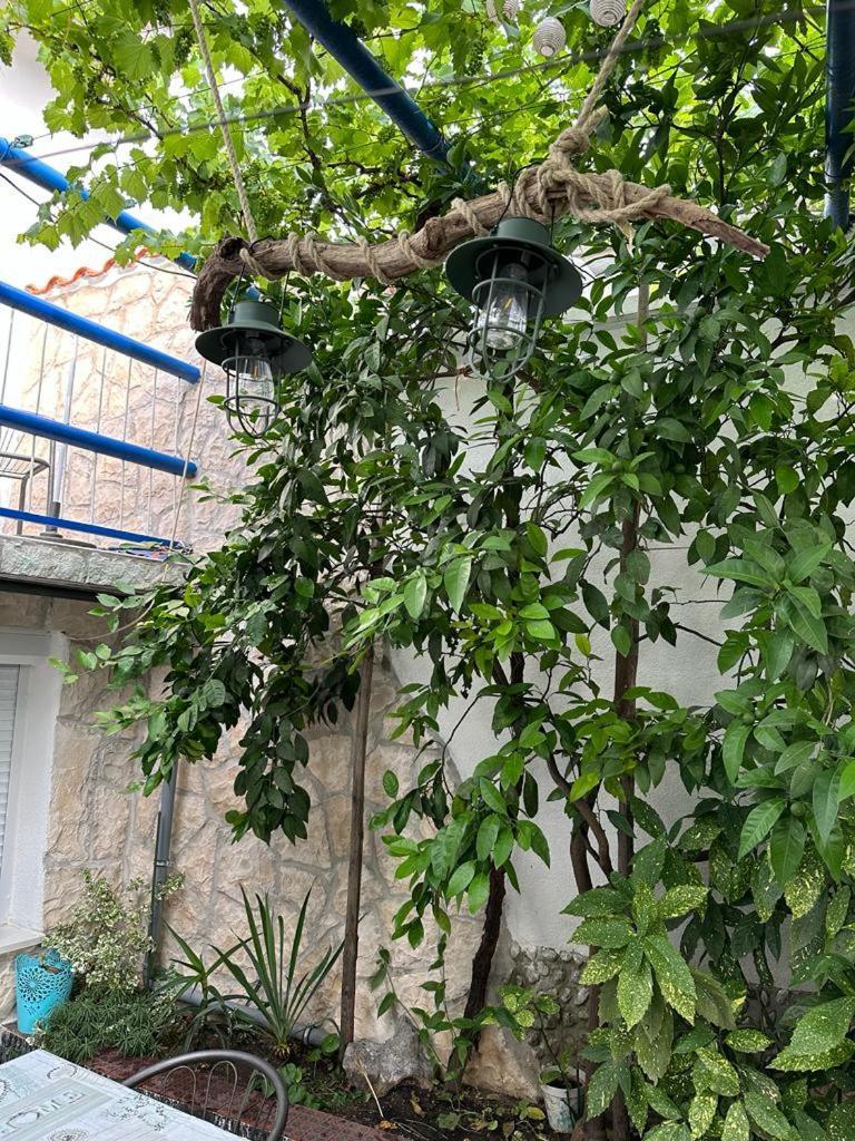 Vila Katica Bribir (Primorje-Gorski Kotar) Exterior foto
