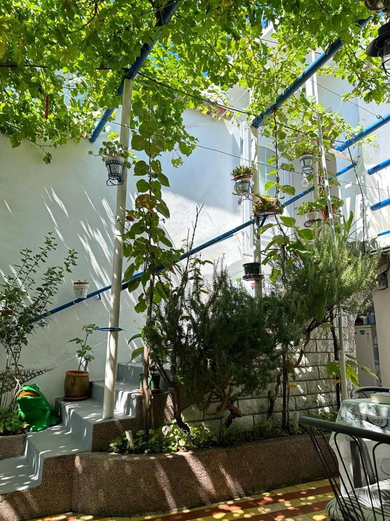 Vila Katica Bribir (Primorje-Gorski Kotar) Exterior foto